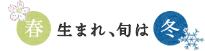 春生まれ、旬は冬