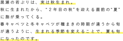 黒瀬の若ぶりは、実は秋生まれ。秋に生まれたから、“2年目の秋”を迎える直前の“夏”に脂が乗ってくる。春キャベツと冬キャベツが種まきの時期が違うから旬が違うように、生まれる季節を変えることで、夏も旬になったのです。