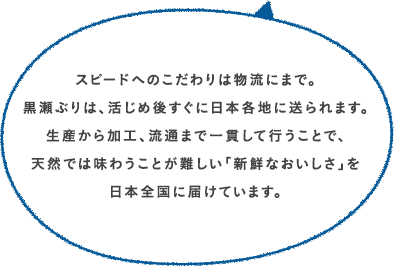 スピードへのこだわりは物流にまで。黒瀬ぶりは、活じめ後すぐに日本各地に送られます。生産から加工、流通まで一貫して行うことで、天然では味わうことが難しい「新鮮なおいしさ」を日本全国に届けています。