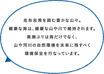 志布志湾を囲む豊かな山々。健康な海は、健康な山や川で維持されます。黒瀬ぶりは海だけでなく、山や河川の自然環境を未来に残すべく環境保全を行なっています。