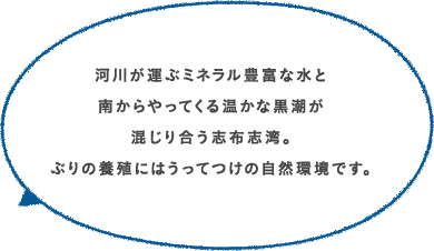 河川が運ぶミネラル豊富な水と南からやってくる温かな黒潮が混じり合う志布志湾。ぶりの養殖にはうってつけの自然環境です。