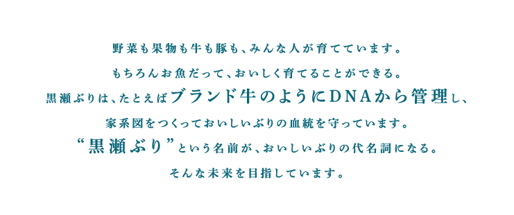 野菜も果物も牛も豚も、みんな人が育てています。もちろんお魚だって、おいしく育てることができる。黒瀬ぶりは、たとえばブランド牛のようにDNAから管理し、家系図をつくっておいしいぶりの血統を守っています。“黒瀬ぶり”という名前が、おいしいぶりの代名詞になる。そんな未来を目指しています。
