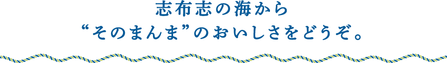 志布志の海から“そのまんま”のおいしさをどうぞ。