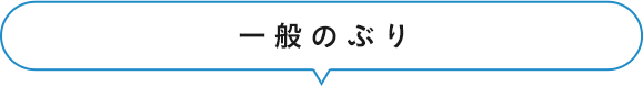 一般のぶり