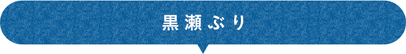 黒瀬ぶり