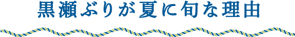 黒瀬ぶりが夏に旬な理由