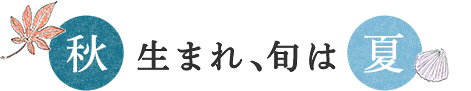 秋生まれ、旬は夏