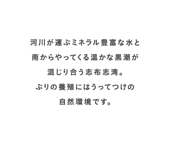 河川が運ぶミネラル豊富な水と南からやってくる温かな黒潮が混じり合う志布志湾。ぶりの養殖にはうってつけの自然環境です。