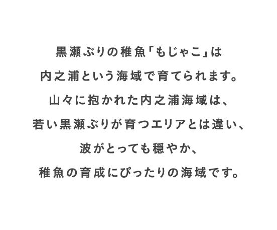 黒瀬ぶりの稚魚「もじゃこ」は内之浦という海域で育てられます。山々に抱かれた内之浦海域は、若い黒瀬ぶりが育つエリアとは違い、波がとっても穏やか、稚魚の育成にぴったりの海域です。