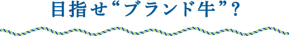 目指せ“ブランド牛”？