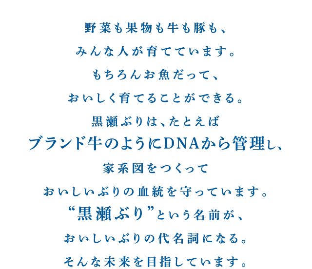 野菜も果物も牛も豚も、みんな人が育てています。もちろんお魚だって、おいしく育てることができる。黒瀬ぶりは、たとえばブランド牛のようにDNAから管理し、家系図をつくっておいしいぶりの血統を守っています。“黒瀬ぶり”という名前が、おいしいぶりの代名詞になる。そんな未来を目指しています。