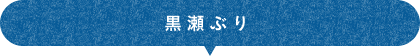 黒瀬ぶり