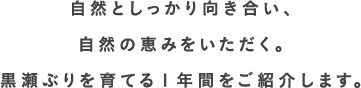 自然としっかり向き合い、自然の恵みをいただく。黒瀬ぶりを育てる1年間をご紹介します。